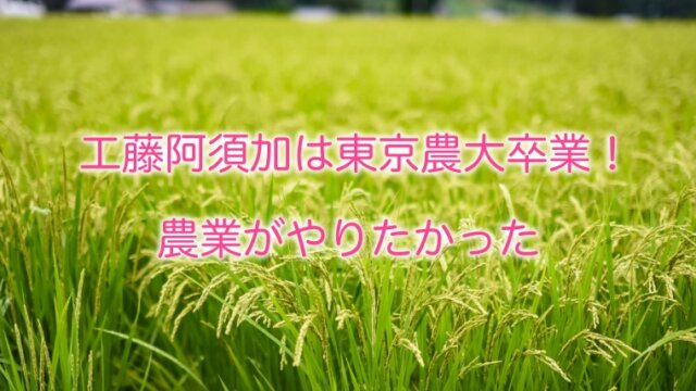工藤阿須加の大学は東京農大で学部はどこ？農業のきっかけは無農薬栽培